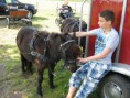 /album/menrit-04-06-2011/zeeuwse-menrit-juni-2011-007-jpg/